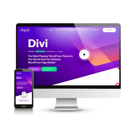 Divi Theme Licencia 1 año